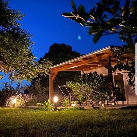 Holiday House Lucia Sukošan Εξωτερικό φωτογραφία