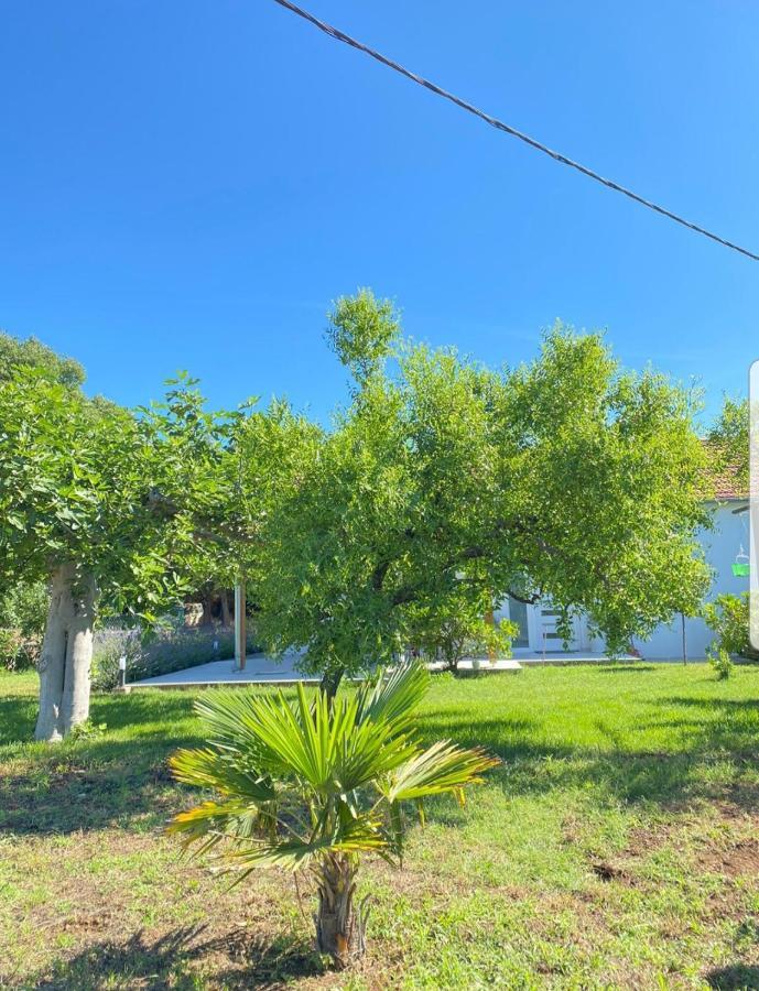 Holiday House Lucia Sukošan Εξωτερικό φωτογραφία