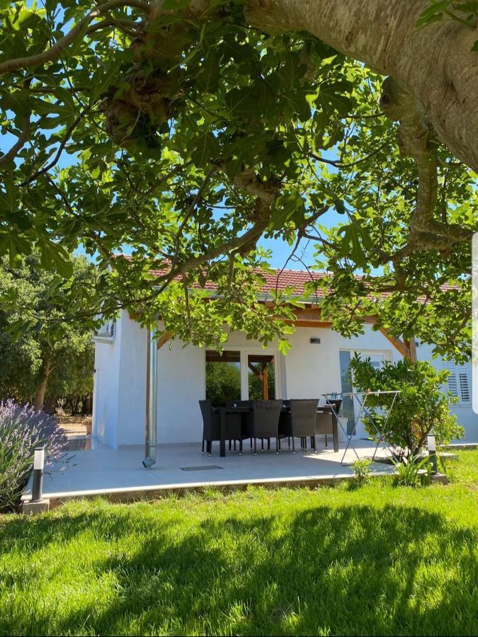 Holiday House Lucia Sukošan Εξωτερικό φωτογραφία