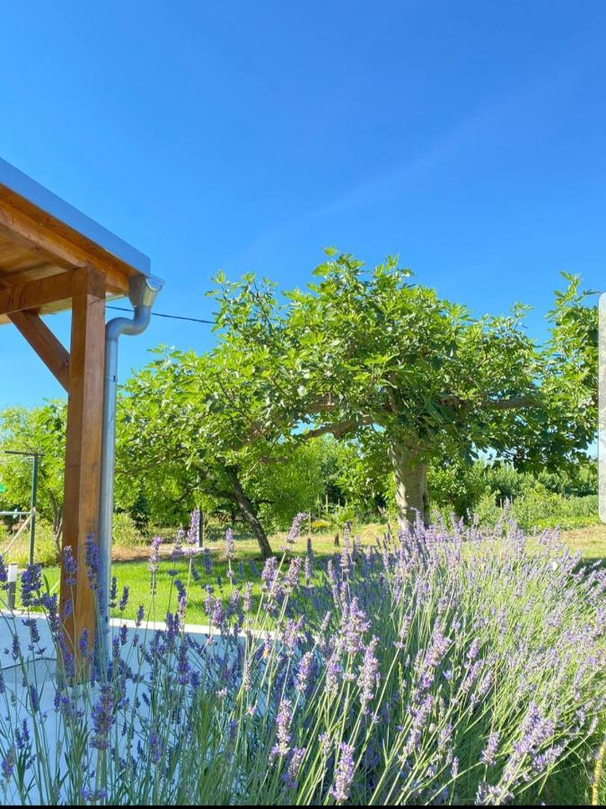 Holiday House Lucia Sukošan Εξωτερικό φωτογραφία