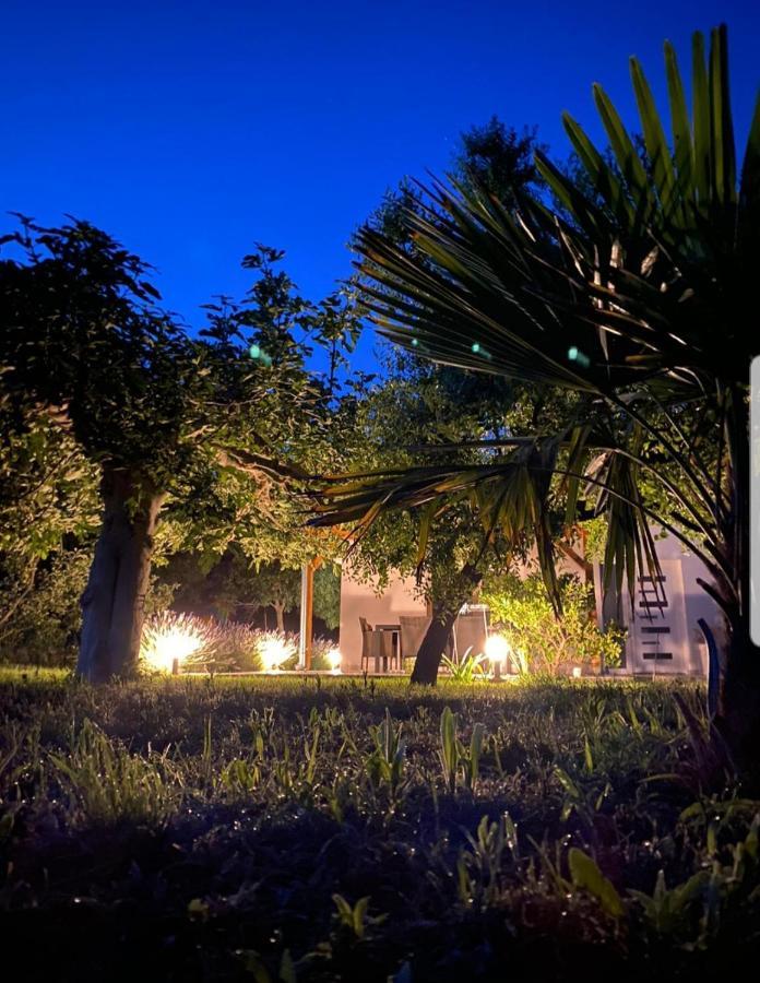 Holiday House Lucia Sukošan Εξωτερικό φωτογραφία