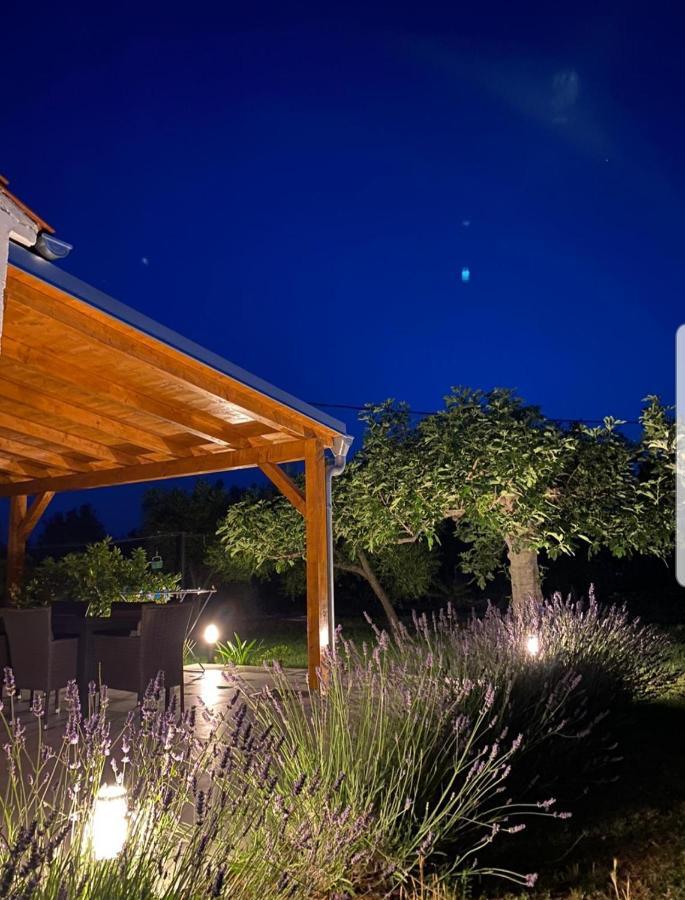 Holiday House Lucia Sukošan Εξωτερικό φωτογραφία