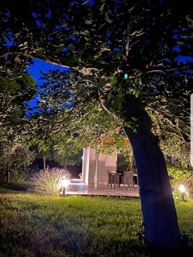 Holiday House Lucia Sukošan Εξωτερικό φωτογραφία